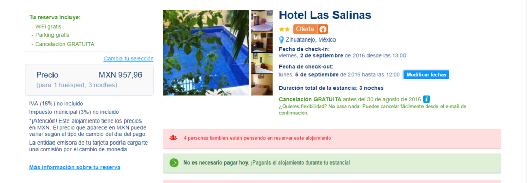 Ixtapa Hotel